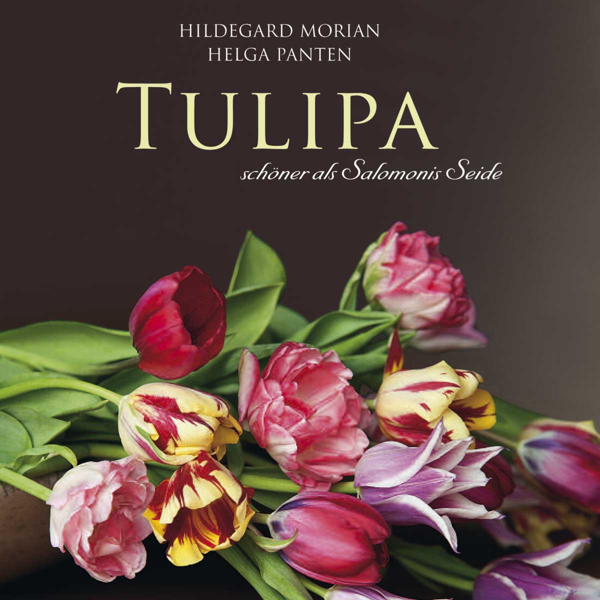 Tulipa